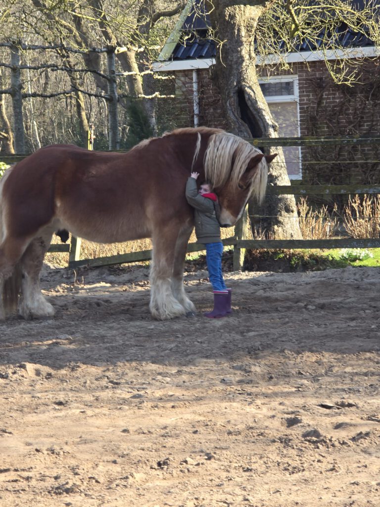 Hoe een paard mij grenzen leert stellen