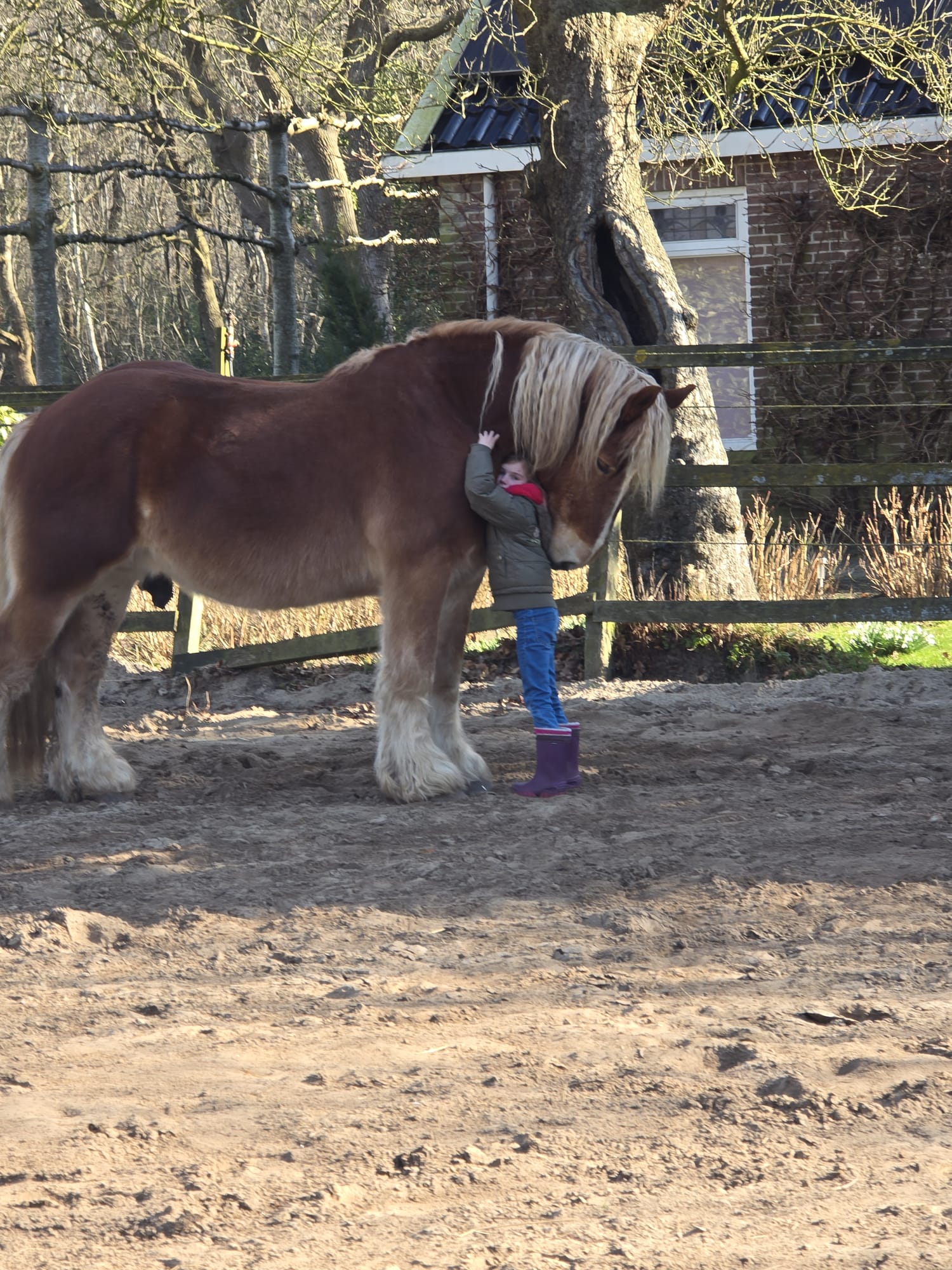 Hoe een paard mij grenzen leert stellen